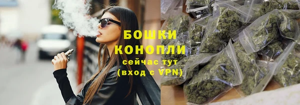 прущие грибы Вязники