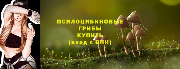 прущие грибы Вязники