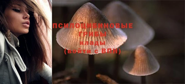 герыч Сосновоборск