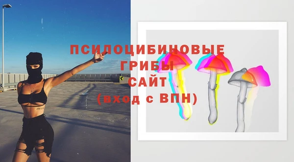 мяу мяу мука Вязьма