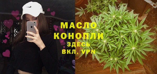 прущие грибы Вязники