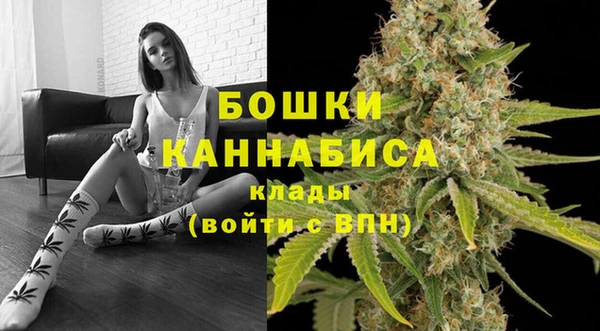 прущие грибы Вязники