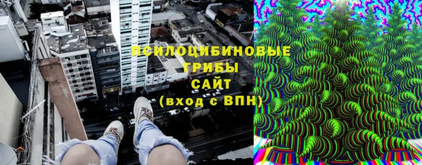 прущие грибы Вязники