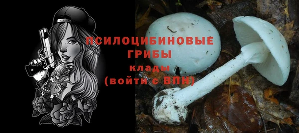 mdpv Кукмор