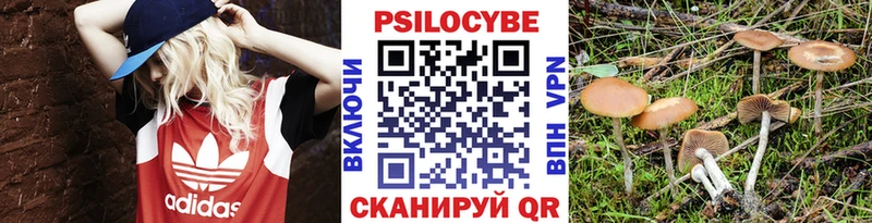 даркнет официальный сайт  Мглин  Галлюциногенные грибы GOLDEN TEACHER  купить наркотики сайты 